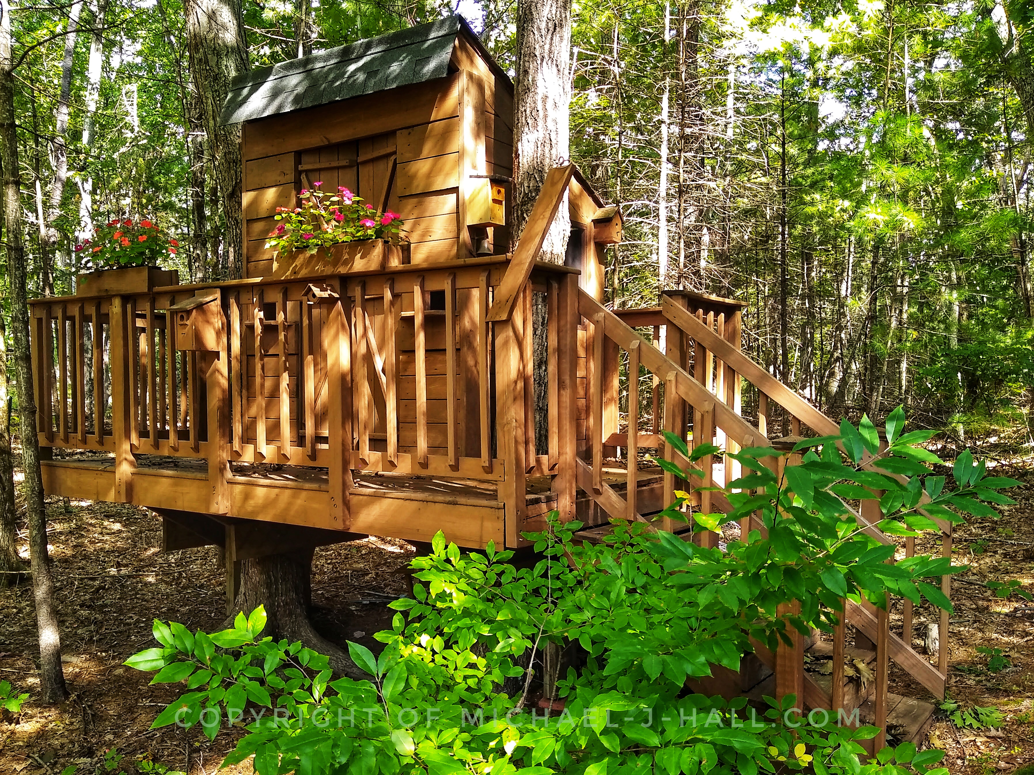 Somewhere in the hundred acre woods is the home of a wise owl - a rustic treehouse tucked between trees invites friends to visit if they happen to be in the neighborhood. Take delight in the views from the wrap around deck, or admire the flower boxes, or gaze into the several birdhouses, or just knock and enter.